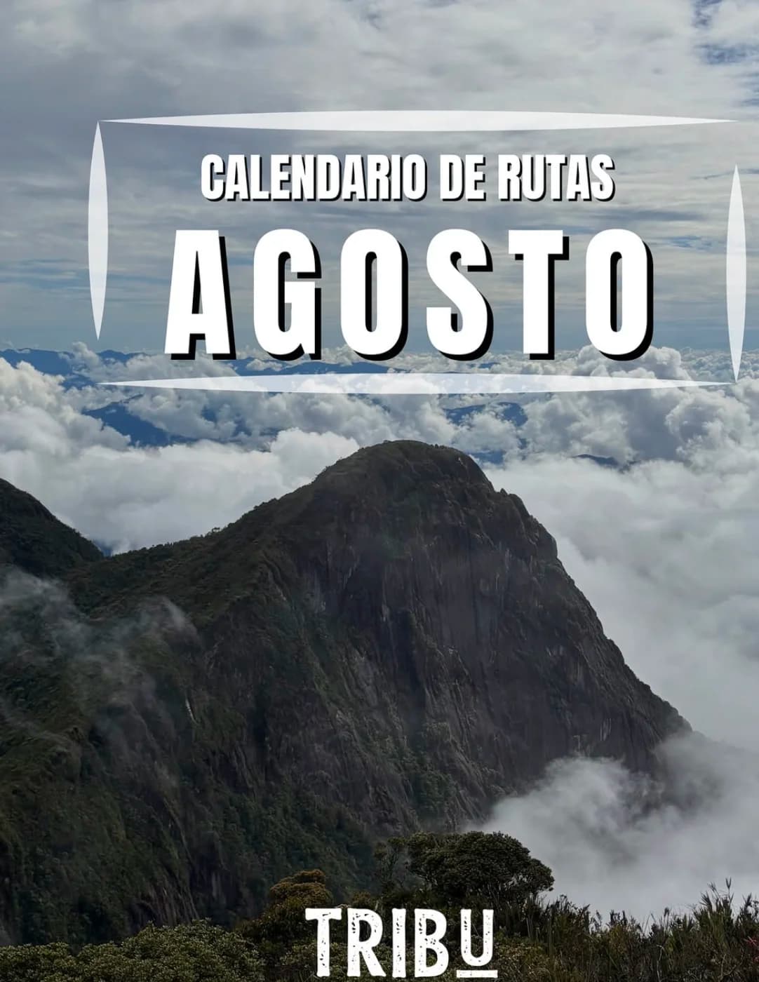 Calendario 1