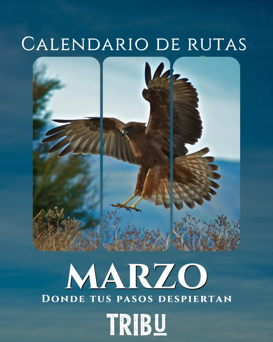 Calendario 1