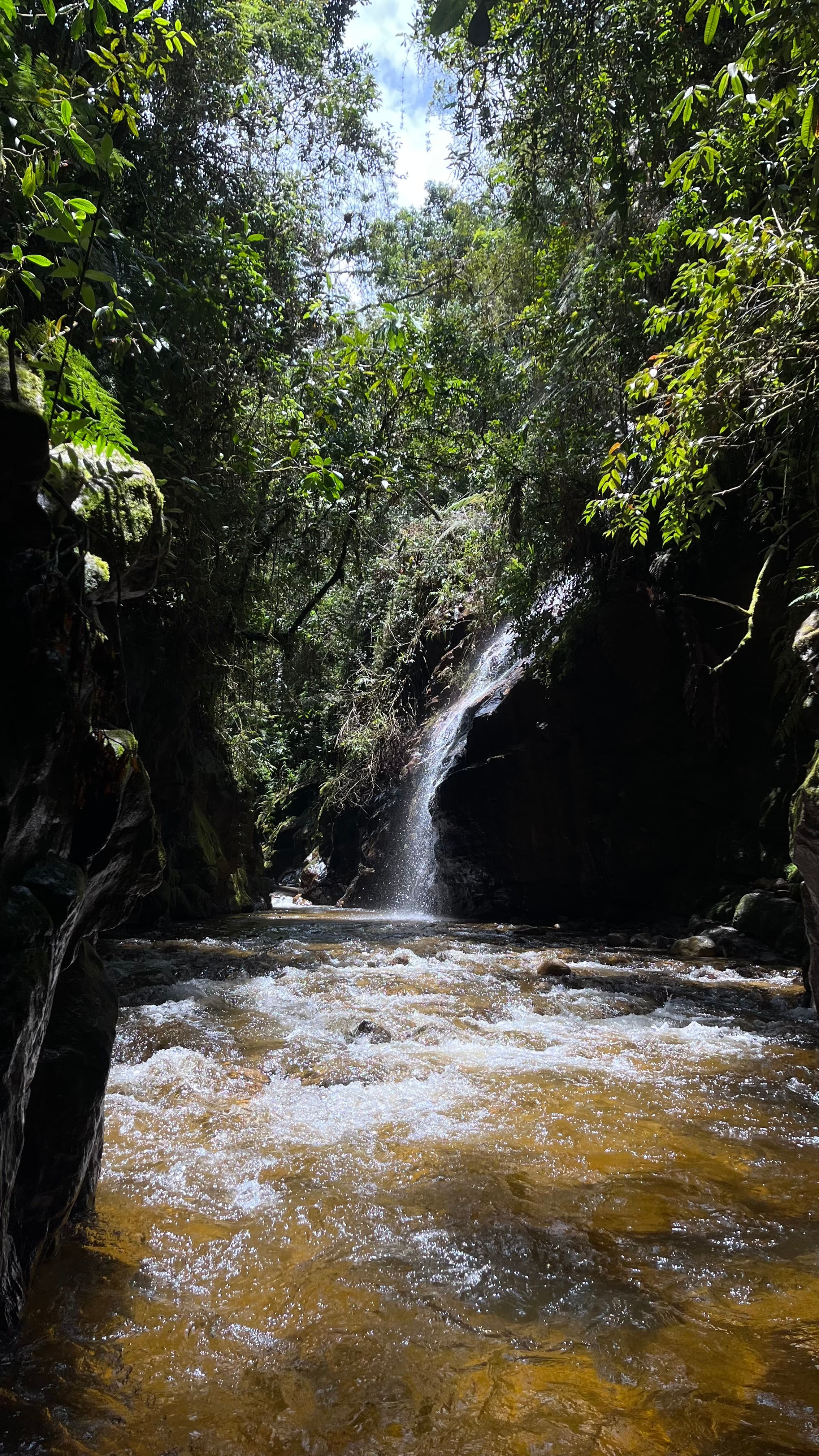 Paso del Toro