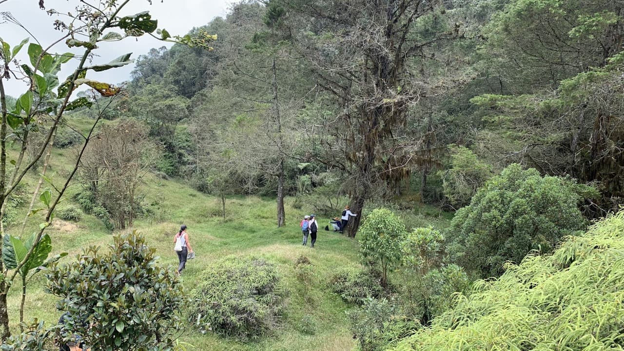 La Reserva Manguala